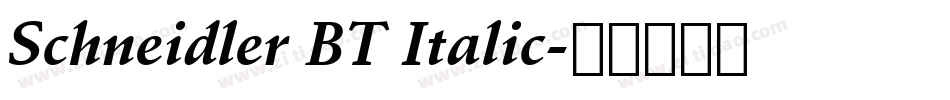 Schneidler BT Italic字体转换